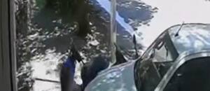 Le rompió la camioneta a una vecina que escuchaba música a todo volumen a la siesta