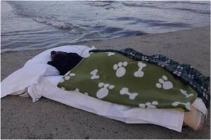 La emotiva historia detrás de la foto de una perra junto al mar: “Hasta siempre”