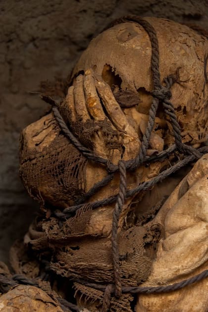 El hombre tendría entre 18 y 22 años cuando fue enterrado en su cámara funeraria, en posición fetal, con las manos sobre su rostro y atado por numerosas "soguillas"