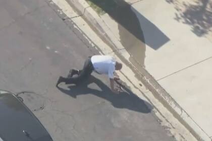 El hombre tropezó con una piedra mientras intentaba defenderse del enjambre; las abejas continuaron el ataque en el suelo