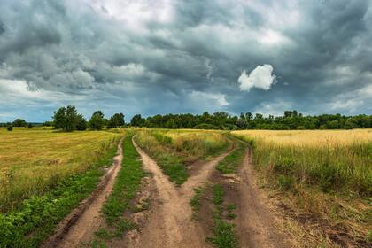 El homicida habría intentado esconder el cuerpo en un camino rural cercano a Areco