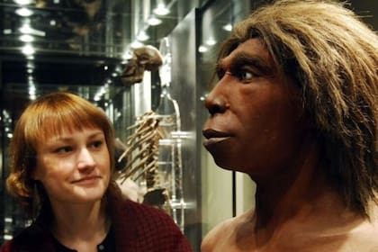El Homo sapiens convivió unos miles de años con el Homo neanderthalensis y con los Denisovanos