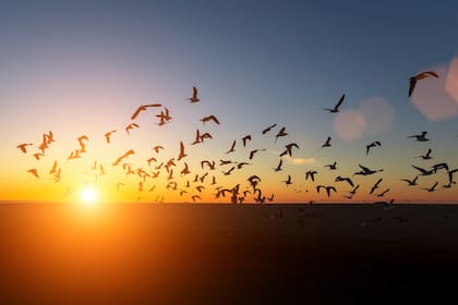 El horario preciso en que será el amanecer hoy