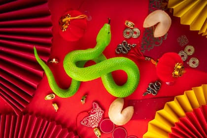 El horóscopo chino de la Serpiente para esta semana