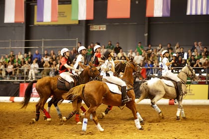 El Horseball nació en Francia y ya se practica en 20 países