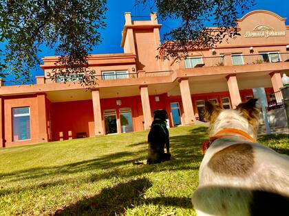 El Hotel Howard Johnson, está justo frente a la laguna de Chascomús, a 115 km de Buenos Aires