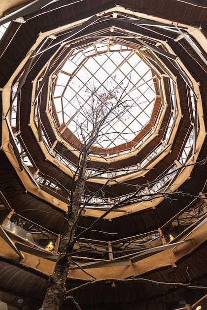 El hotel Nothofagus es el corazón del complejo arquitectónico de la reserva