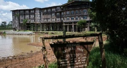 El hotel selvtico donde se alojaba la princesa Isabel en su viaje a Kenia. En la noche del fallecimiento de su padre, se encontraba avistando animales en una cabaa que colgaba de un rbol.