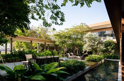 El hotel también cuenta con espacios al aire libre