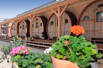 El hotel Vrouwe van Stavoren optó por el reciclaje de barriles de vino y se destaca al norte de los Países Bajos por su iniciativa