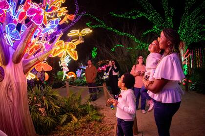 El Houston Zoo recibie miles de visitantes para disfrutar de los senderos iluminados