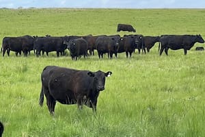 El hub será un centro tecnológico, un nodo de conexión entre distintas tecnologías