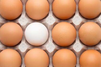 El huevo de gallina es una de las grandes fuentes de vitamina B12
