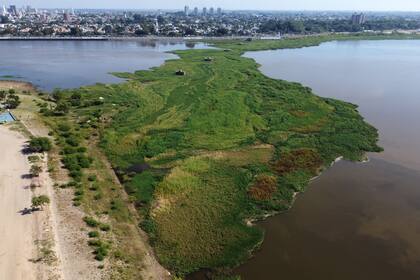 El humedal se ha formado en la Laguna Setubal a raíz de la última creciente del río Paraná