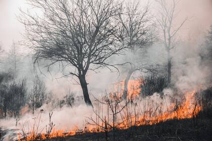 El humo de los incendios puede ser muy perjudicial (Foto: Archivo LN)