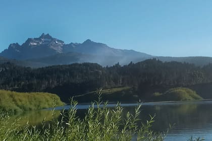 El humo de uno de los focos de incendio se alza por encima de los árboles