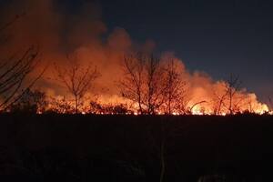 Un incendio de gran magnitud se desató al sur de La Plata y generó pánico entre los vecinos
