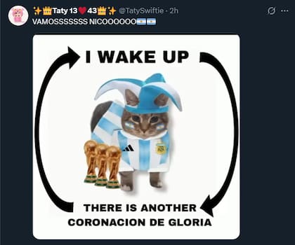 El humor de los fanáticos en redes sociales