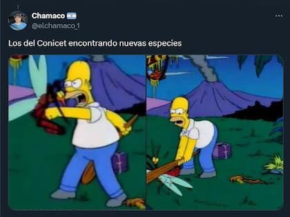 El humor de los usuarios en redes