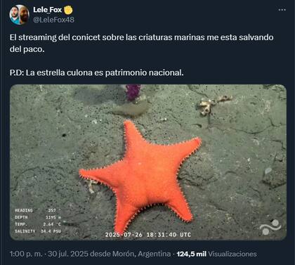 El humor de los usuarios en redes