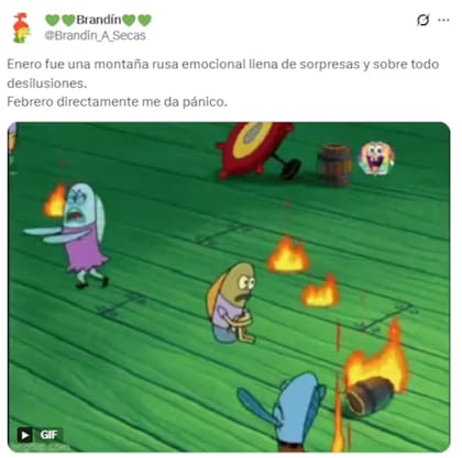 El humor de los usuarios en las redes sociales