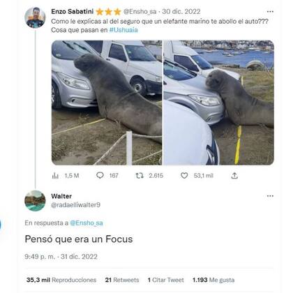 El humor sutil no podía estar ausente ante la pesencia de un elefante marino sobre la trompo de un auto en Ushuaia