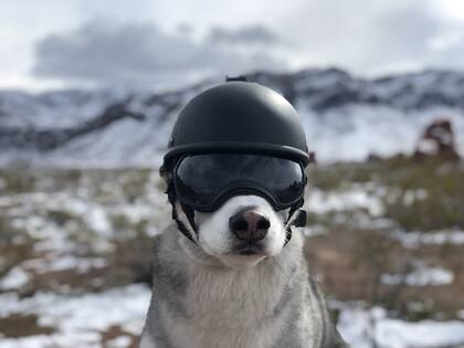 El Husky recorrió más de 90 mil kilómetros en motocicleta. En la foto con sus gafas Rex Specs. 