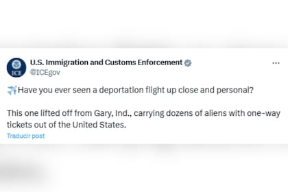 El ICE reveló cómo es un vuelo de deportación por dentro