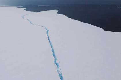 El iceberg puede tener implicaciones significativas para los millones de focas, pingüinos y otras aves marinas que han hecho de Georgia del Sur su hogar
