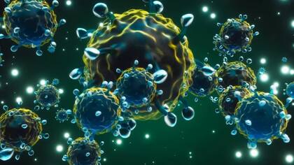 El impacto de la covid en el cerebro tiene más que ver con la reacción del cuerpo ante el virus que con el virus en sí