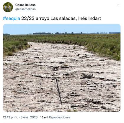 El impacto de la sequía en el arroyo Las Saladas, en la provincia de Buenos Aires