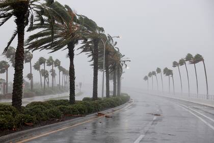 El impacto de los vientos en Sarasota, Florida.