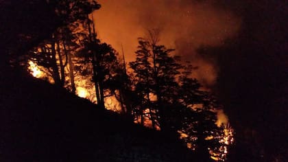 El impacto del aumento del riesgo de incendios forestales ya fue evidente en la última temporada; en la foto, fuego en Los Alerces en febrero de 2025