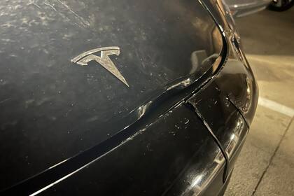 El impacto del choque con el ciervo abolló el capó y agrietó el paragolpes del Tesla Model 3 (@TheSeekerOf42)