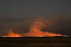 Otorgan facilidades financieras a productores afectados por los incendios en La Pampa y la Patagonia