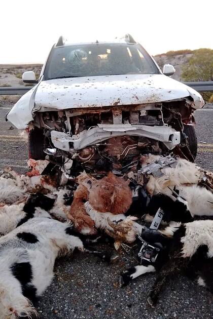 El impacto se produjo sobre la ruta 40