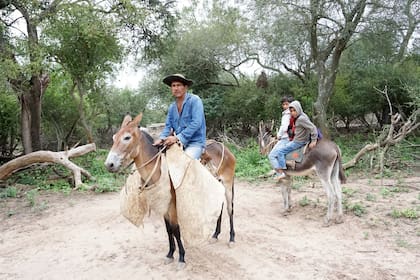 Algunos chicos van a la escuela en burro