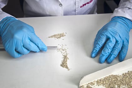 El Inase considera gastos por $21.230 millones, con una leve caída del 2,5%