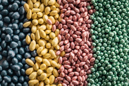 El Inase tiene a su cargo el cumplimiento de la Ley de Semillas y Creaciones Fitogenéticas, que promueve la producción y comercialización de semillas