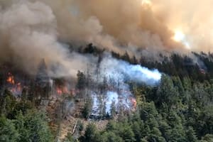 Tras un incendio forestal, detuvieron a un hombre de 30 años