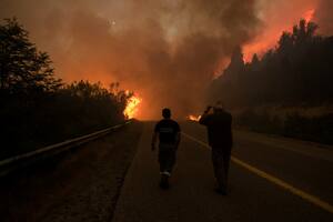 Los bosques de Río Negro volvieron a arder y el incendio cruzó la ruta nacional 40