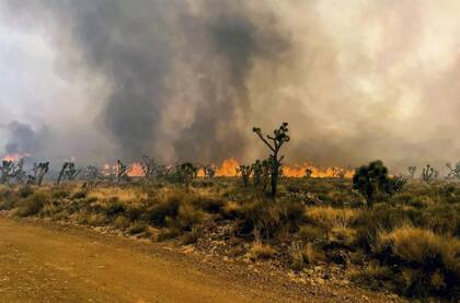 El incendio de York arde en un área de la Reserva Nacional de Mojave, el sábado 29 de julio de 2023