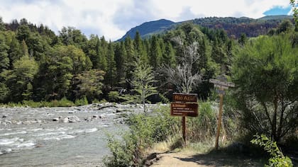 El incendio del verano pasado se desató en la confluencia entre los ríos Encanto Blanco y Azul.