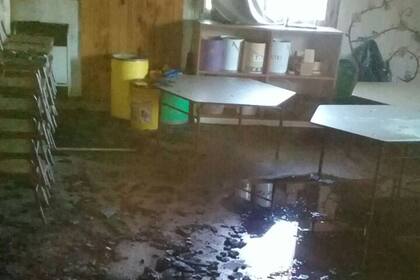 Investigan si el fuego fue intencional