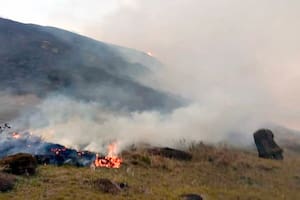 Un incendio forestal provocó un “daño irreparable” a cientos de moais