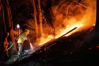 Luego de un mes y medio de incendio forestal, intervienen la intendencia del Parque Los Alerces