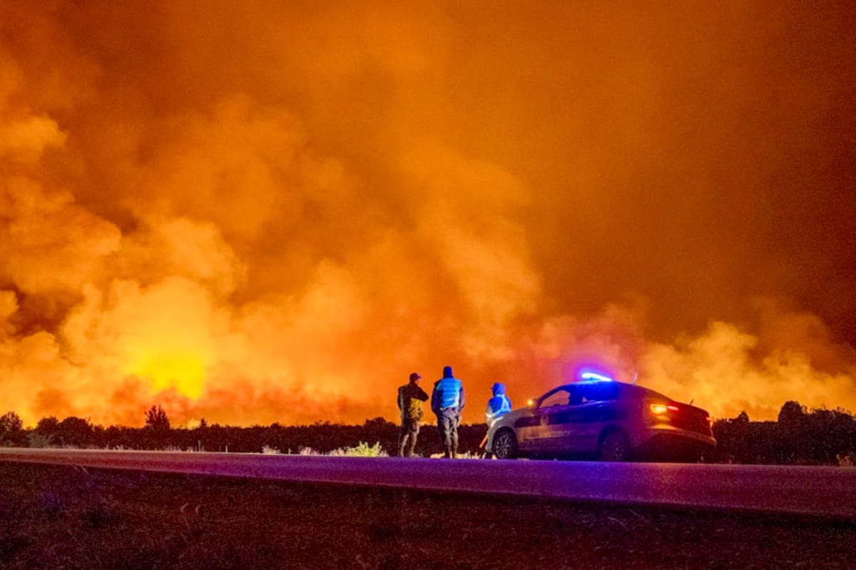 O governo através do DNU declarou emergência de incêndio para os estados da Patagônia O governo através do DNU declarou emergência de incêndio para os estados da Patagônia