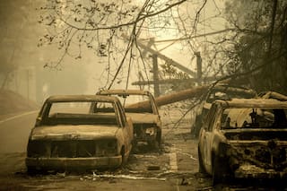 Era chofer de un colectivo escolar y en medio de los incendios forestales tuvo que tomar una difícil decisión