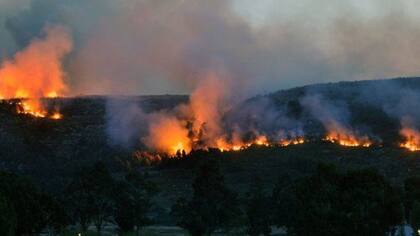 El incendio forestal que afectó a casi 200 hectáreas de campos de las ciudades bonaerenses de Sierra de los Padres y Batán