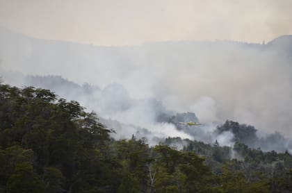 El incendio lleva una semana activo y consumidas más de 2474 hectáreas de bosque nativo